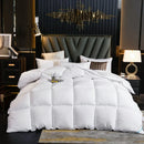 Axyaa Winter Goose Down Duvet Comforter for Single/Double Bed