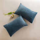 Axyaa Premium Velvet Cushion Cover - Super Soft & Stylish