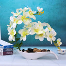 Axyaa Simulated Butterfly Orchid Ceramic Flowerpot Set for Home Decoration