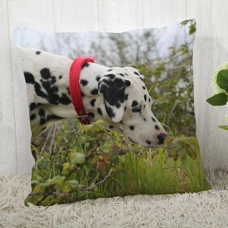Dalmatians Pillowcase - Axyaa Modern Living Room Decoration