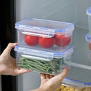 Axyaa Rectangular Refrigerator Storage Box with Lid: Plastic Crisper for Fresh Food