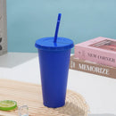 Axyaa 710ml Macaron Plastic Straw Cup - Large Capacity, Reusable, Ideal for Parties & Coffee