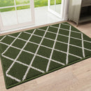 Axyaa Super Absorbent Large Doormat: Clean Step Microfiber Mat 80x120 Washable Rug