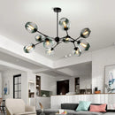 Axyaa LED Glass Chandelier for Modern Indoor Lighting Decor
