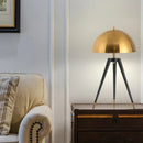 Axyaa Modern Floor Lamps for Living Room, Bedroom, and Home Decor