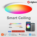 Axyaa Smart RGB Ceiling Light: Voice Control, Dimmable, WiFi, App Control