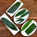 Axya Bamboo Green Leaf Sashimi Sushi Decoration Small Green Leaves Plate Dish Decor Set
