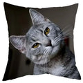 Axyaa Cat Design Sofa Cushion Cover 45x45cm