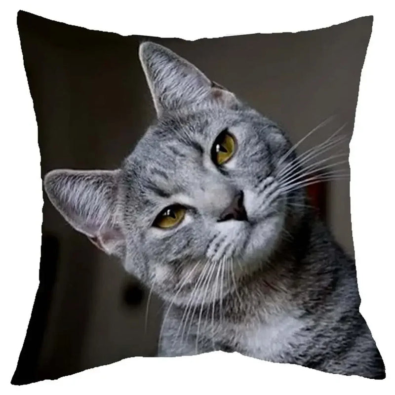 Axyaa Cat Design Sofa Cushion Cover 45x45cm