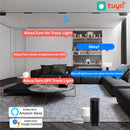 Axyaa LED Magnetic Track Light Dimmable Bluetooth Control Spot Lighting