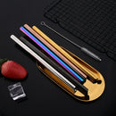 Axyaa Stainless Steel Smoothie Straws - Set of 6 with Cleaning Brush