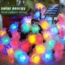 Axyaa Rose LED Outdoor Garden Decorative String Lights