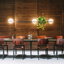Axyaa LED Chandelier Plant Suspension Pendant Light - Black Kitchen Bar Dinning Room