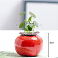 Axyaa Ceramic Persimmon Fruit Flower Pot for Home Decor