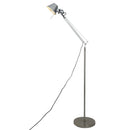 Axyaa LED Floor Lamp: Sleek Adjustable Lighting for Home & Office