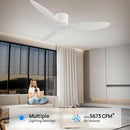 Axyaa Nordic Ceiling Fan with 6 Speed Remote Control for Large Spaces