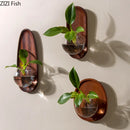 Axyaa Glass Wall Vase for Flowers and Plants