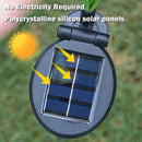 Axyaa Solar LED Butterfly Fiber Optic Outdoor Garden Light