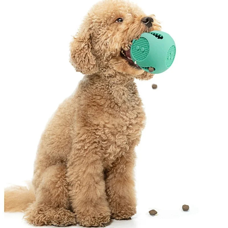 Axyaa Silicone Dog Toy Food Ball Interactive Slow Feeder Tooth Cleaning, Pet Supplies