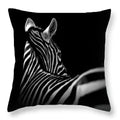 Axyaa Zebra Print Polyester Cushion Cover 45X45cm for Home Decor