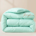 Axyaa Soft Fluffy Queen Size Comforter Duvet Insert, Thickened Warm Quilt for Autumn/Winter