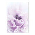 Axyaa Lavender Field Canvas Wall Art Nordic Style Landscape Posters