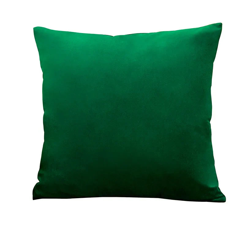 Axyaa Velvet Cushion Cover Set - Vibrant Decorative Throw Pillow Case for Living Room