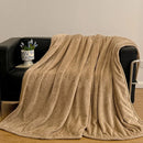 Axyaa Solid Color Jacquard Coral Fleece Blanket | Winter Thickened Small Blanket