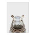 Axyaa Baby Animals Poster: Lion Tiger Hippo Giraffe Elephant Zebra Wall Art