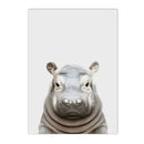 Axyaa Baby Animals Poster: Lion Tiger Hippo Giraffe Elephant Zebra Wall Art