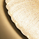 Axyaa Smart LED Ceiling Light for Nordic Home Decoration