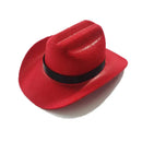 Axyaa Light Up Pet Cowboy Hat: Fun, Luminous Dog/Cat Accessory for Walks, Photos & Gifts