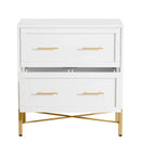 Axyaa 2 Drawer Lateral File Cabinet for Letter/Legal/A4 Size, Modern Office Storage