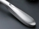Axya Stainless Steel Fish Scale Remover & Cleaning Brush for Fast Peeling & Scraping