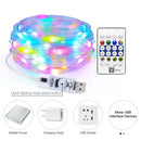 Axyaa RGBIC USB Fairy Lights Bluetooth APP Controlled for Festive Decor