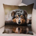 Axyaa Australian Shepherd Pillow Cover - Cute Dog Animal Cushion