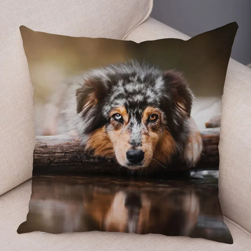 Axyaa Australian Shepherd Pillow Cover - Cute Dog Animal Cushion