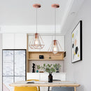 Axyaa Iron Cage Metal Ceiling Pendant Light for Indoor Lighting