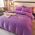 Axyaa 2024 Luxury Cotton Thickened Solid Color Four-Piece Set
