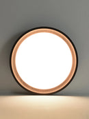 Axyaa Modern Nordic Italian Luxury LED Ceiling Lamp for Master Bedroom