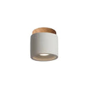 Axyaa Minimalist Industrial LED Ceiling Lamp Stone Surface Spotlight