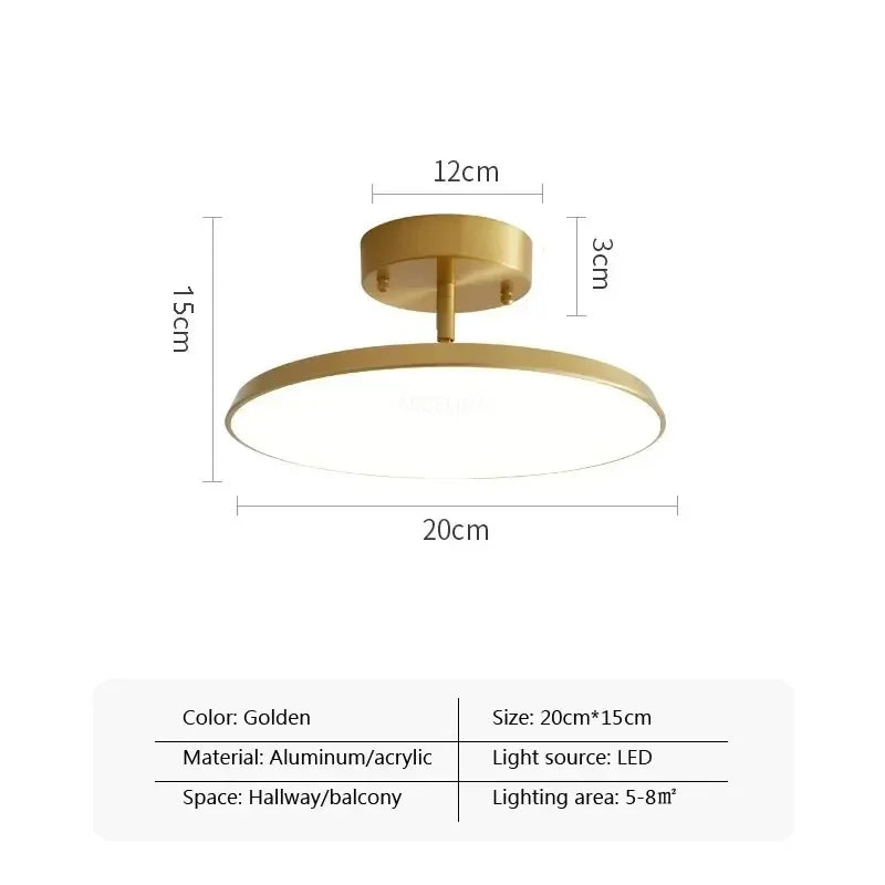 Axyaa Rotatable LED Ceiling Light for Home Decor