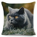 Axyaa Fold Ear Cat Pillow Covers - Set of 2 Cute Pet Pillowcases