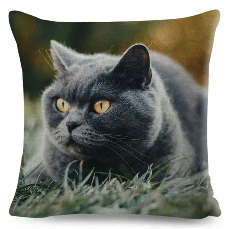 Axyaa Fold Ear Cat Pillow Covers - Set of 2 Cute Pet Pillowcases