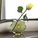 Axyaa Clear Glass Hydroponic Flower Vase for TV Cabinet Decor