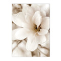 Axyaa Beige Dandelion Bunny Tail Grass Canvas Art Print Nordic Flower Poster