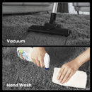 Axyaa Soft Shaggy Area Rug for Living Room and Bedroom Floor Decor