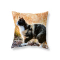Axyaa Black Cat Cushion Cover for Sofa, Car, Office, Game Chair - Cute & Funny