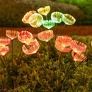 Axyaa Solar Jellyfish RGB Outdoor Light for Garden Decoration