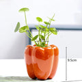 Axyaa Ceramic Persimmon Fruit Flower Pot for Home Decor